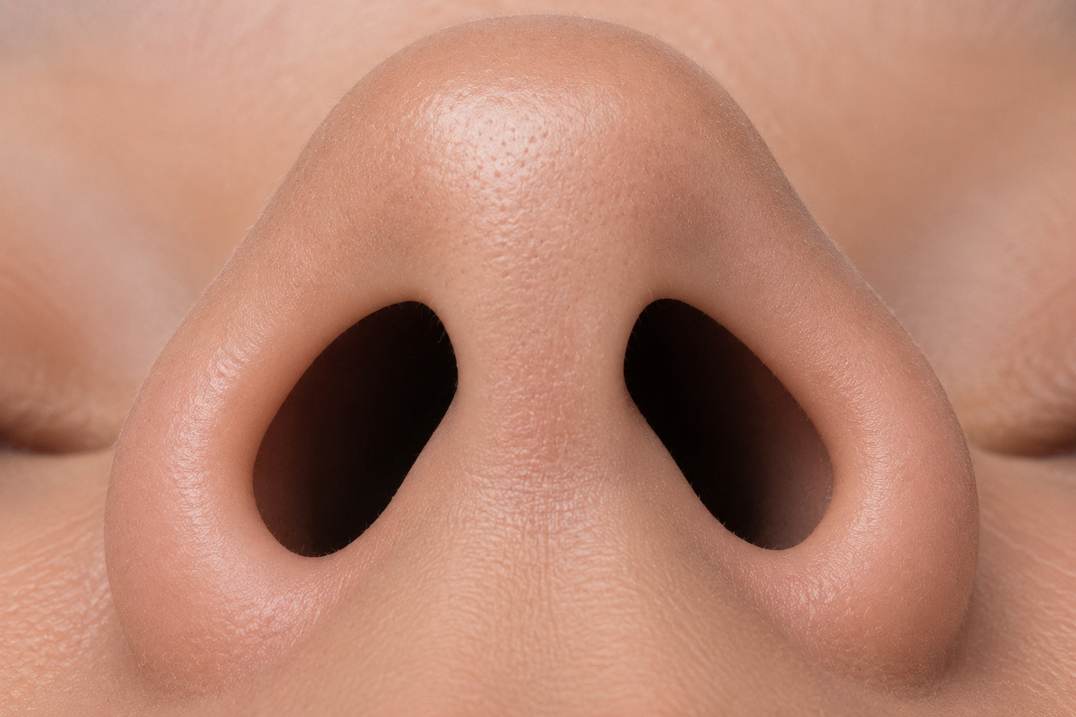 A nostril photographed straight on with a red line drawn across its widest opening.